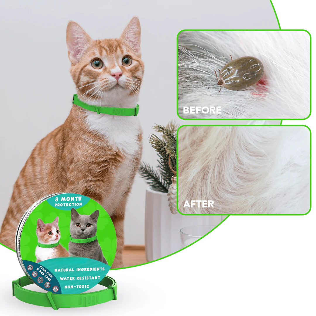 Tick Free Collar