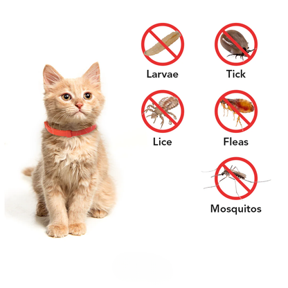 Tick Free Collar