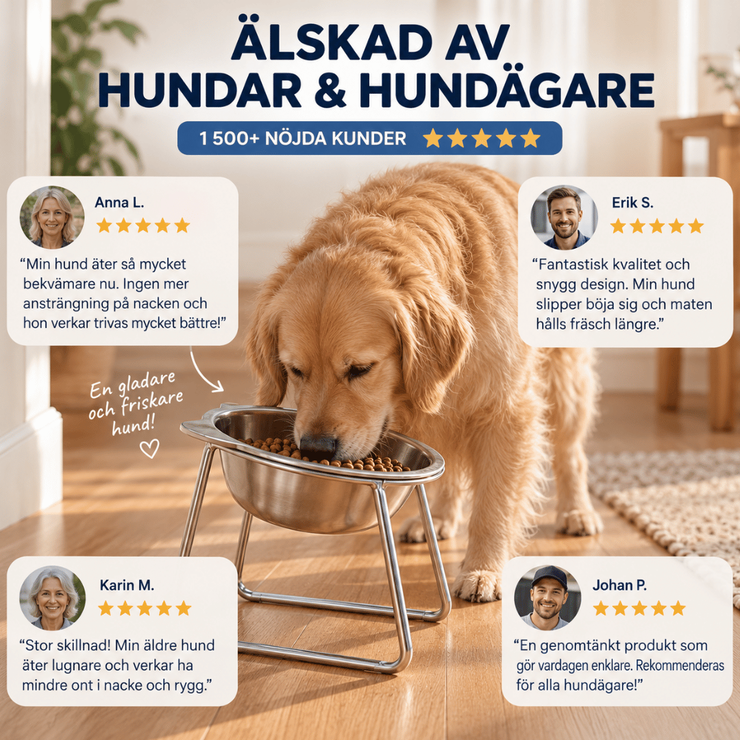 Upphöjd hundskål - Minskar belastningen på nacke och rygg