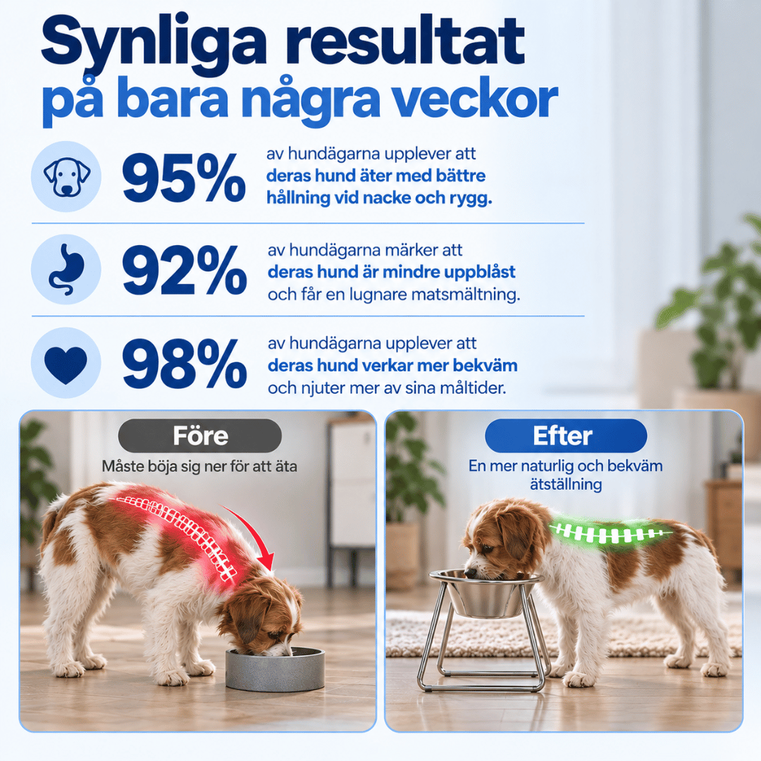 Upphöjd hundskål - Minskar belastningen på nacke och rygg