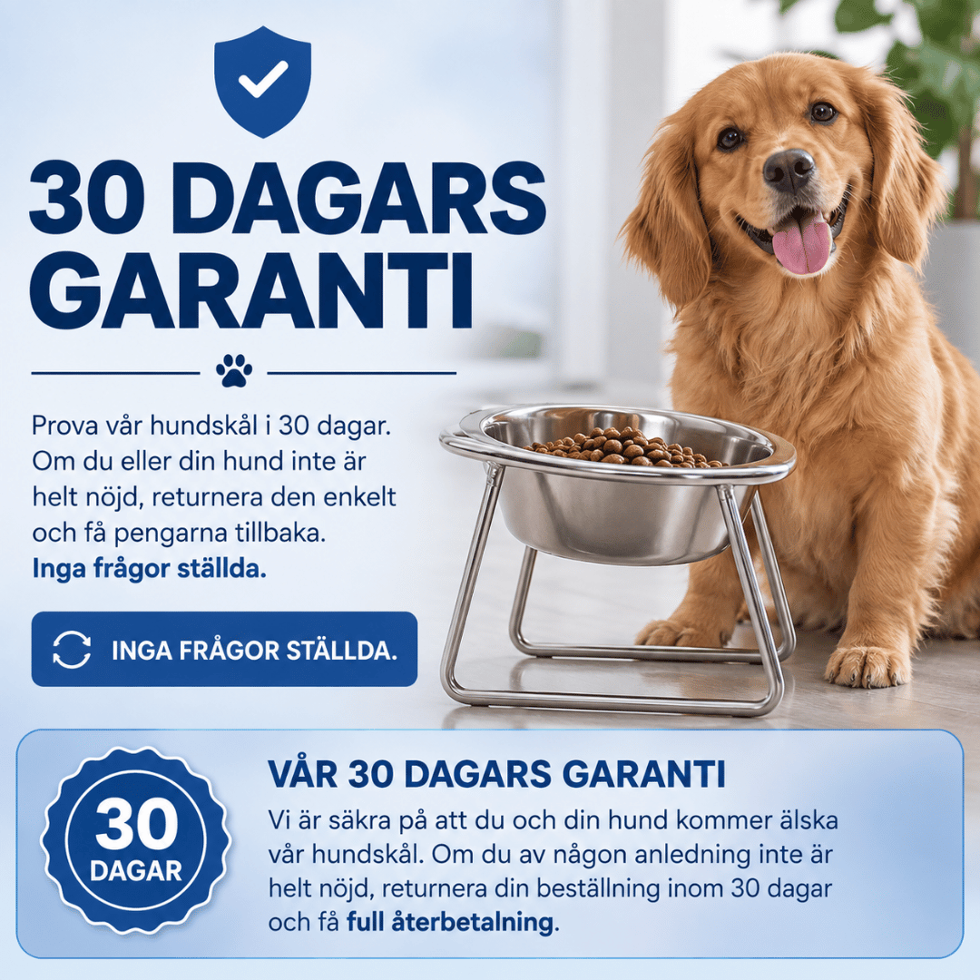 Upphöjd hundskål - Minskar belastningen på nacke och rygg