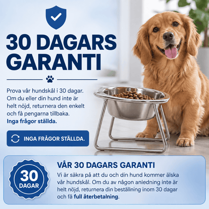 Upphöjd hundskål - Minskar belastningen på nacke och rygg